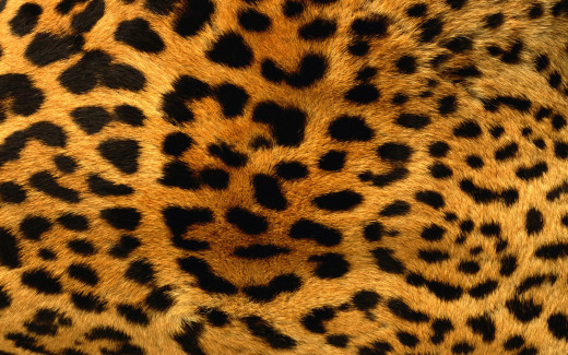 448825 (a): :1920x1200